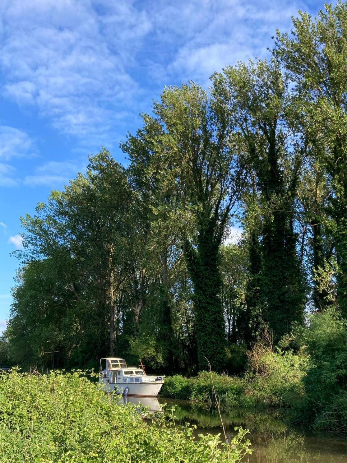 Dutch Cruiser Ship On A Tranquil Secluded River Tonbridge Eksteriør bilde